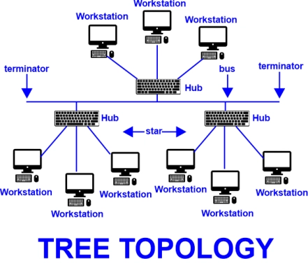 Thumbnail for Tree Topology in Computer Networks